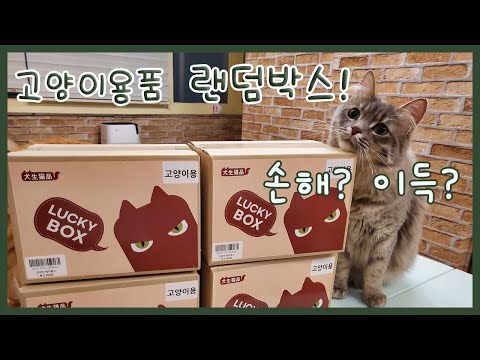 고양이용품 <strong>럭키박스</strong> 개봉기!