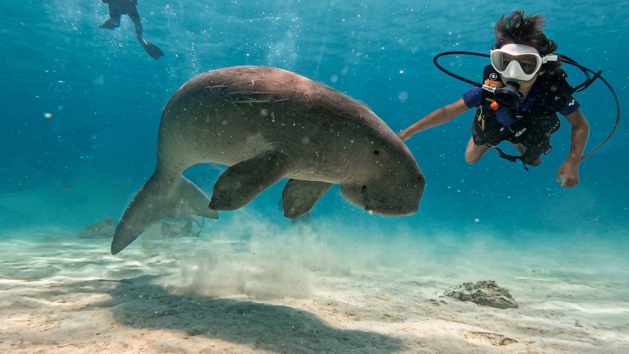Have You Ever Witnessed an 8-Year-Old Scuba Diving? – Video