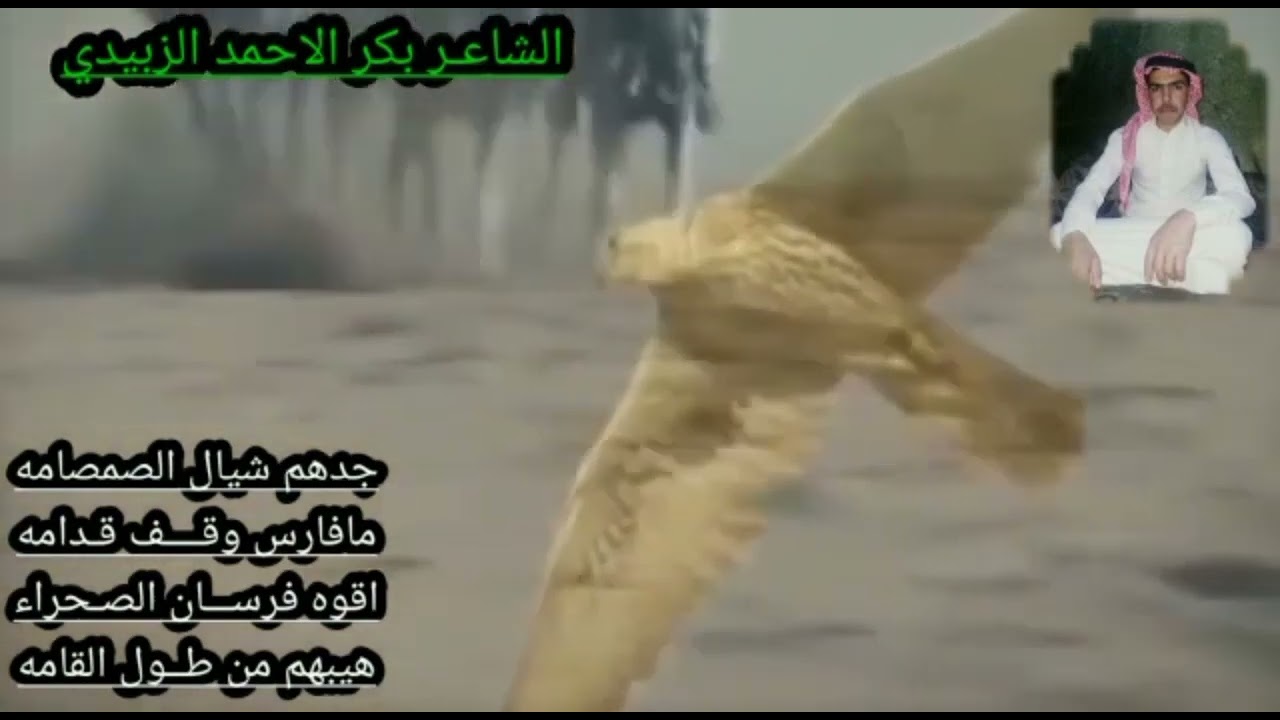 شعر ربعي زبيد
