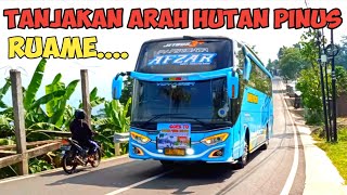 Bus Pariwisata Membludak !! Big bis mengarah ke wisata hutan pinus jogja