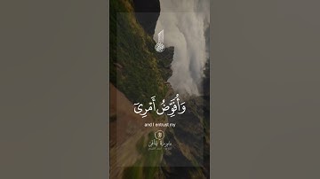 الشيخ أحمد العجمي ❤️ سورة غافر 🌿 #quran #ارح_سمعك #ارح_قلبك #القرآن_الكريم #قرآن #احمد_العجمي #قرآن