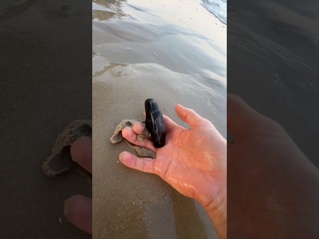 What is hidden in the sand?