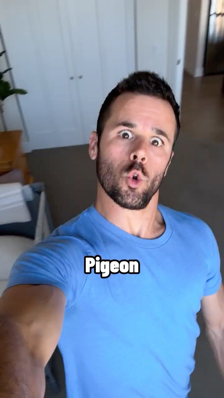 How animals would take a selfie if they were people.