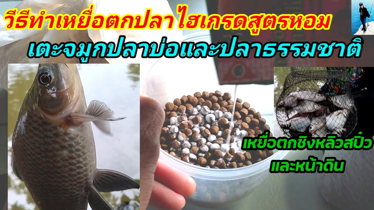 Как приготовить высококачественную рыболовную приманку с ароматной формулой, которая ловит прудов...