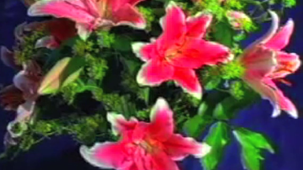 Watch ming kurray - f l o w e r s on YouTube Watch ming kurray - f l o w e r s on YouTube