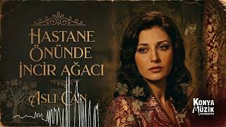 Aslı Can - Hastane Önünde İncir Ağacı