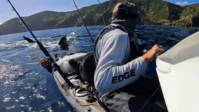 Arctic Surfer Escapes 2 Great White Sharks Attack - YouTube