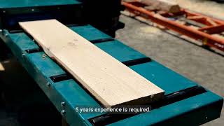 Sawmill Maintenance Manager, Republic of the Congo, Work Permit