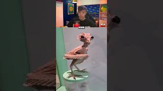 Hayvanlar Tüysüz Olsaydi