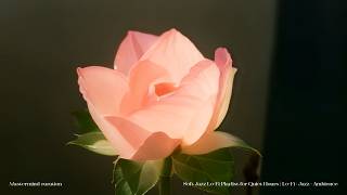 Mastermind 08 — Soft Jazz Lo-Fi Playlist for Quiet Hours | Lo-Fi · Jazz · Ambience screenshot 3