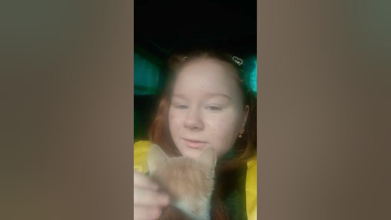 котік - YouTube