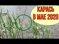 РЫБАЛКА В МАЕ  2020 НА КАРАСЯ •КЛЕВ ПОСЛЕ ДОЖДЯ •УБИЙЦА КАРАСЯ В ДЕЛЕ