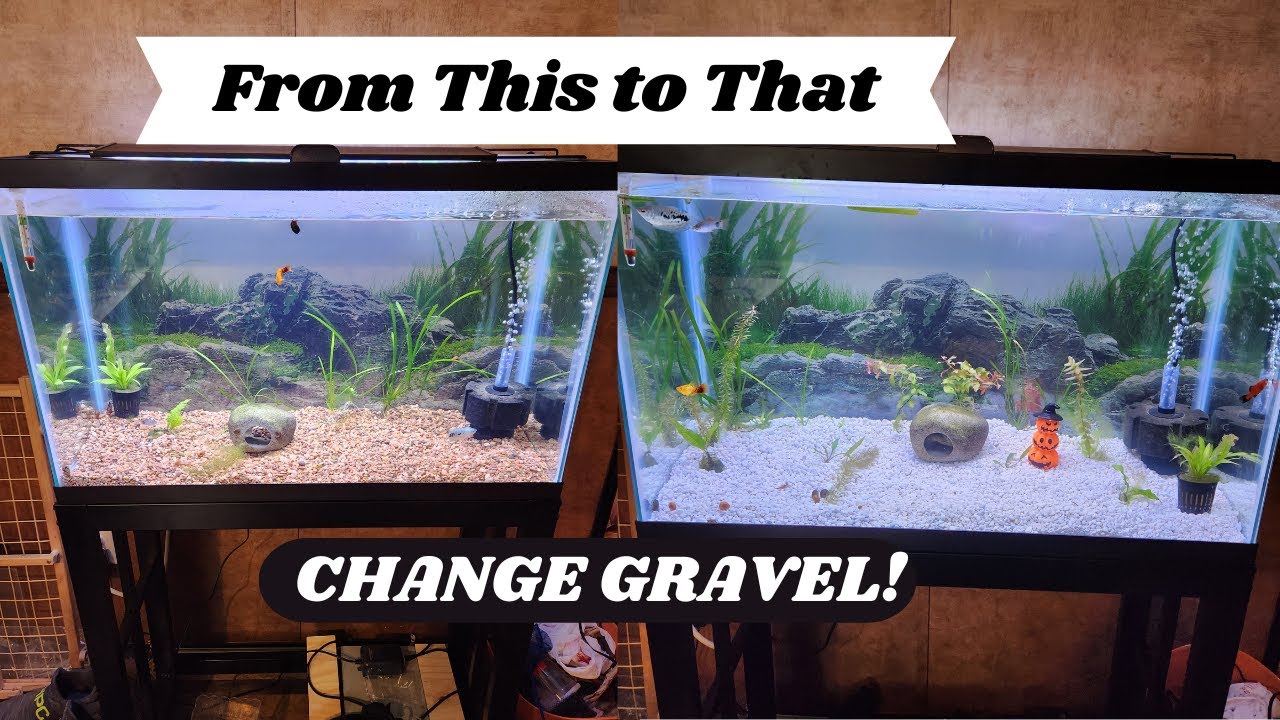 How to change gravel in aquarium! (Easy) - YouTube