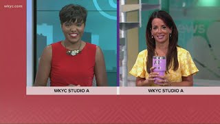 The special meaning behind Hollie Strano's favorite coffee cup