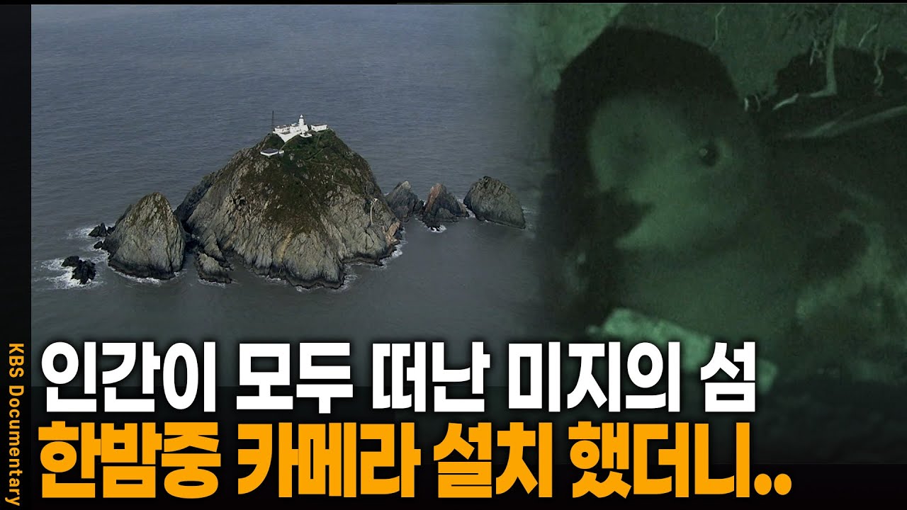 사람 없는 섬에서 밤마다 벌어지는 충격적인 생명 이야기 | KBS 20130130방송