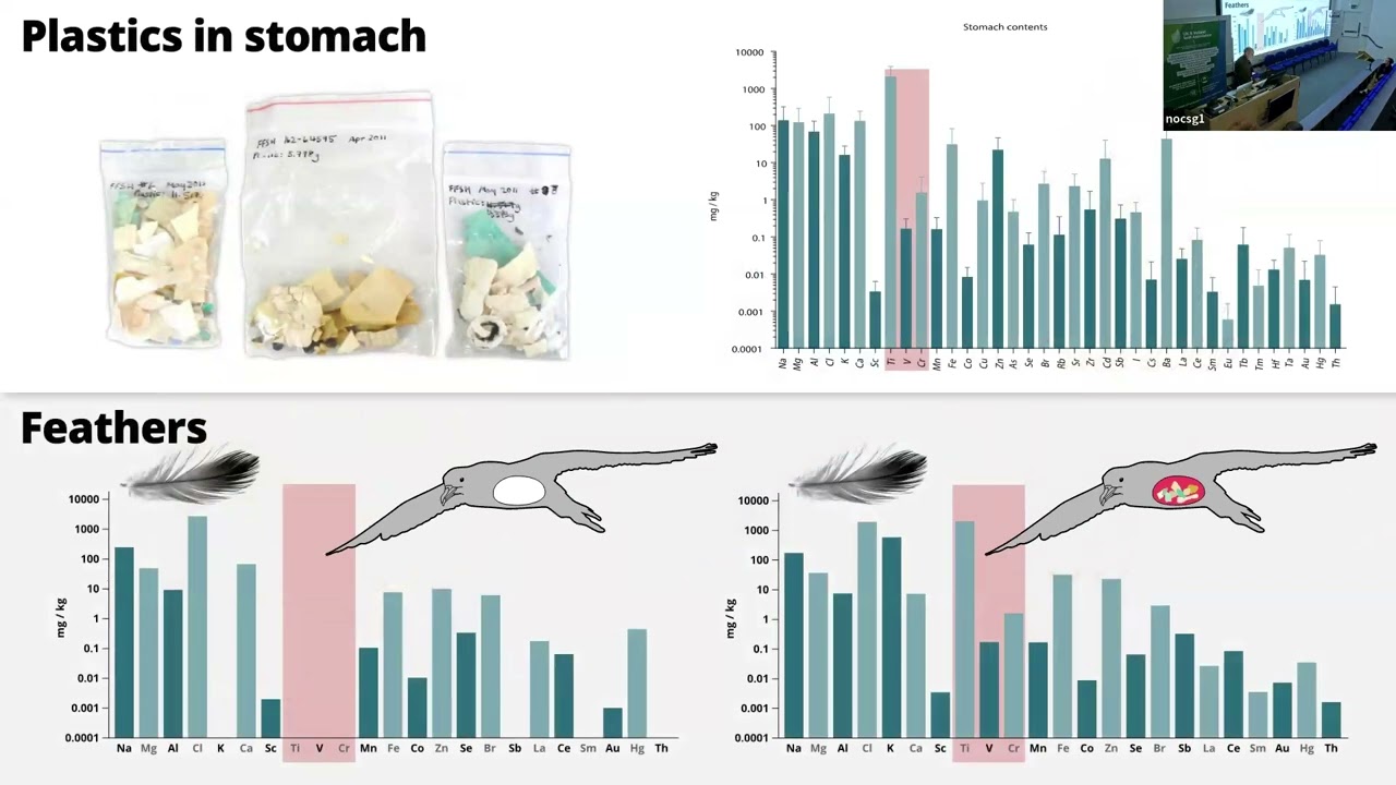 Day 2, Session 8 - Plastics (Professor Richard Banati)