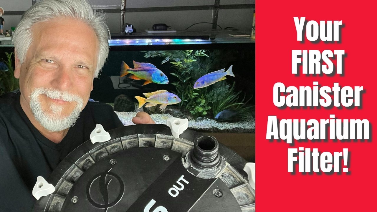 Your FIRST AQUARIUM CANISTER FILTER - WATCH THIS!