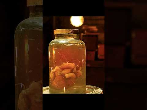 ✈️ It’s Coming From the Floor… | The Strain’s Terrifying Opening Scene 🧟🪱💥