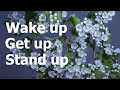 Английские фразовые глаголы: wake up - get up - stand up.