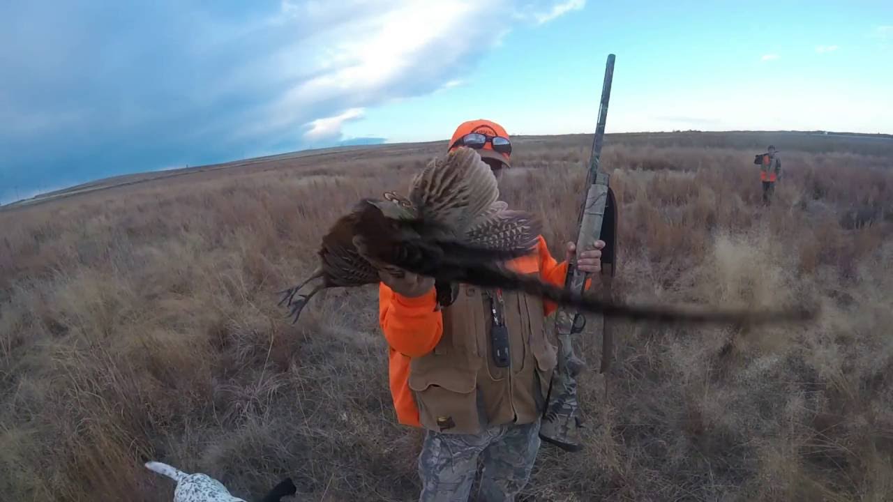 Nebraska hunting trip 