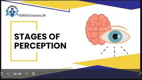 BPCC 101|  UNIT 3 STAGES OF PERCEPTION| ignou bpcc 101