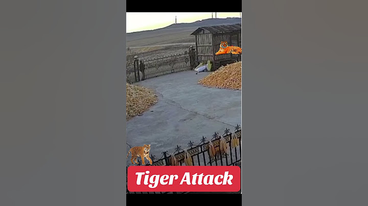 Farmer narrowly escaping Siberian tiger attack #animals #nature #wildlife #tiger #shorts #short