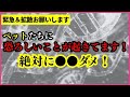【注意喚起】絶対にダメ!恐ろしいことになってます