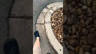 Bro This Sunset Bouta Play