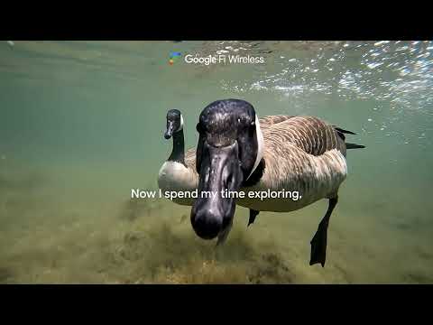 Roaming fees? Not with Google Fi Wireless. Switch today. - Subscribe to our Channel: https://www.youtube.com/google