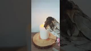 🕯️ Unlocking Magic: Using White Candles in Witchcraft 🕯️