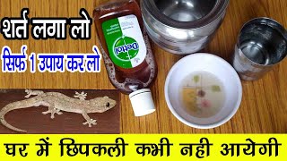 घर में छिपकली कभी नहीं आयेगी जादुई नुस्खा | how to get rid lizard | chipkali bhagane ke gharelu upay