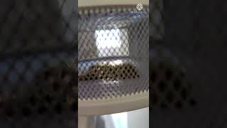 Review Perangkap Nyamuk Merk Portoti( Portoti mosquitoes killer)