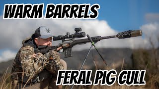 WARM Barrels Shooting Feral Pigs & Foxes || Over 130 Fall || Kill Shots with a 223Rem & 308Win