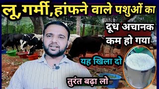 लू,गर्मी हांफने वाले पशुओं का दूध अचानक कम हो गया क्या करें?Ye Khila do Dudh Bad jaayega📈