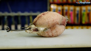 Traces | Black Fin Part 2