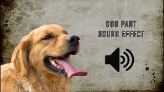 Dog Pant Sound Effect - High Quality