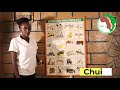 Animal Names Majina Ya Wanyama Animal Names Majina Ya Wanyama