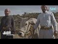 ثمانية البلاد هل اندثرت الزراعة بالطريقة القديمة أم ما تزال حاضرة الشرق ديسكفري mp3