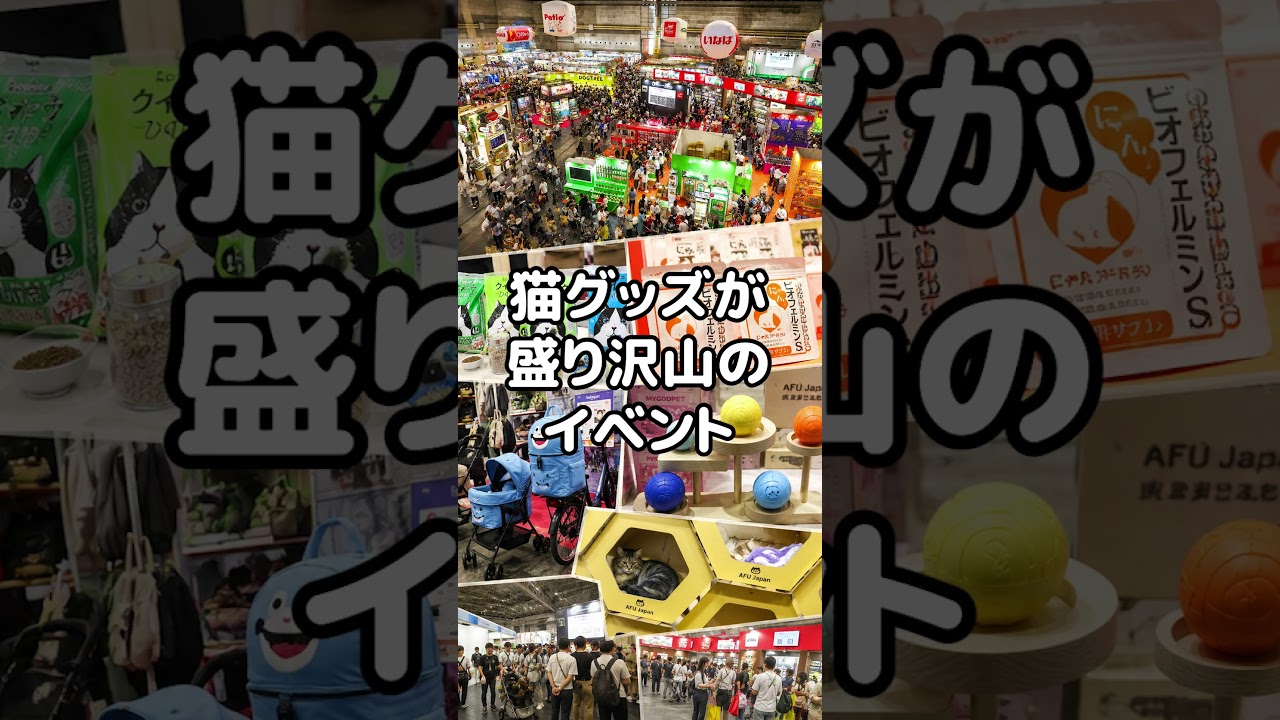 インターペット大阪！行ってきます(*`･ω･)ゞ#インターペット大阪 #pr