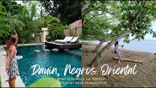 Celebrity Bongo-Bongo Divers (Staycation review) | (La Tortue + Mabuhay Dive Dumaguete ) | Dauin, Negros Wealth