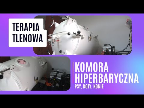 Wideo: Jak powiedzieć „Kocham Cię” po koreańsku: 13 kroków