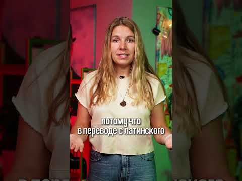 Австрия и Австралия, в чём различия?