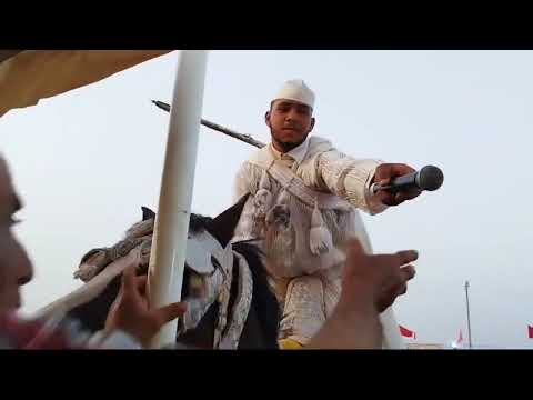 موسم الخيل زمران الشرقية موسم التبوريدة لحظة سقوط خيال من فوق العود