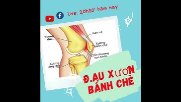 Cách tự chữa ĐAU ĐAU ĐẦU GỐI NGAY TẠI NHÀ cùng Bác sĩ Thể Thao Nguyễn Trọng Thuỷ