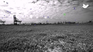 AVIX Bird detection system using machine learning / artificial intelligence