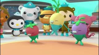 Octonauts: Creature Report Compilation - Series 1