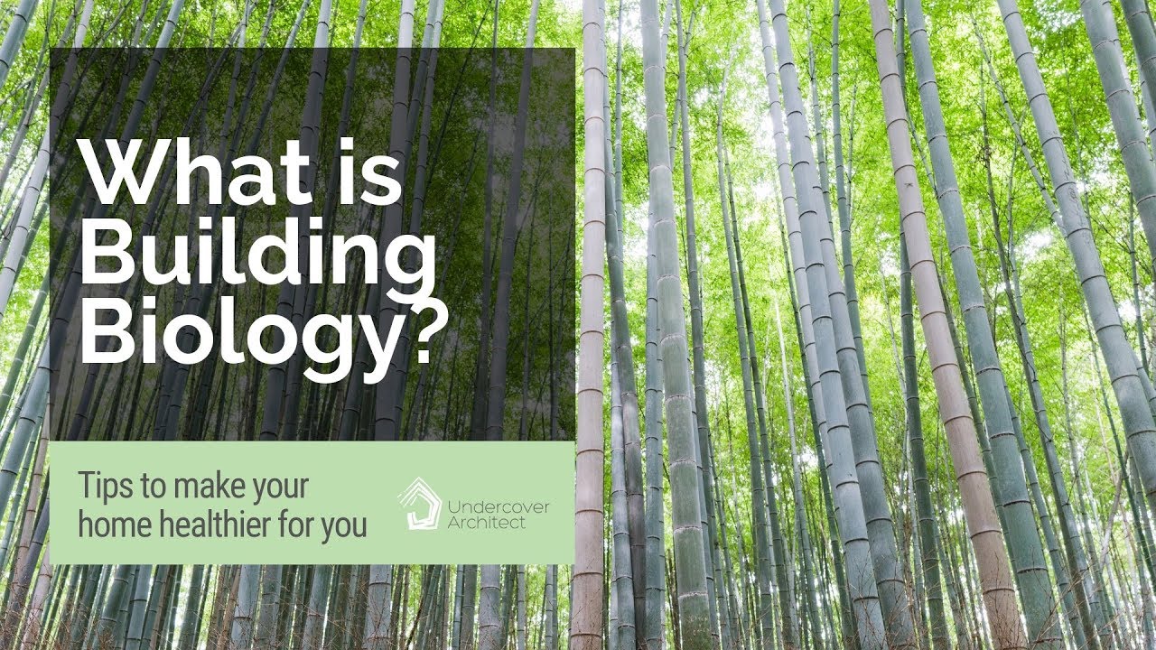 AN INTRODUCTION TO BUILDING BIOLOGY | Interview with Narelle McDonald, Healthy Living Spaces