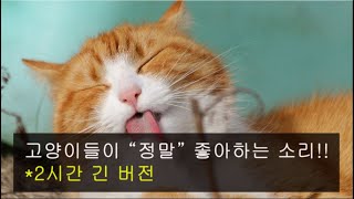 [효과 대박!!] 고양이가 좋아하는 소리 (2시간)♬😻 고양이 부르는 소리: 애교를?! 고양이 반응하는 기분좋을때 소리 ※어미고양이 새끼고양이 아기고양이 울음소리 영상 음악