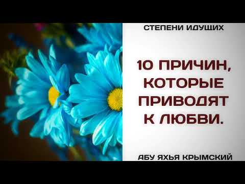 105. 10 причин, которые приводят к любви || Абу Яхья Крымский