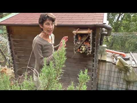 Video: Hotel per insetti fatti in casa – Costruire un hotel per insetti per il giardino